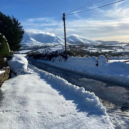 Mountain View 木屋