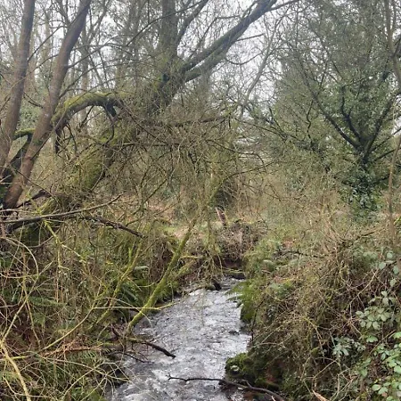 Mountain View 木屋 *