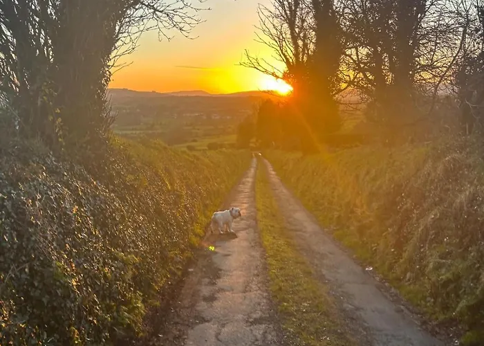 Mountain View Tipperary