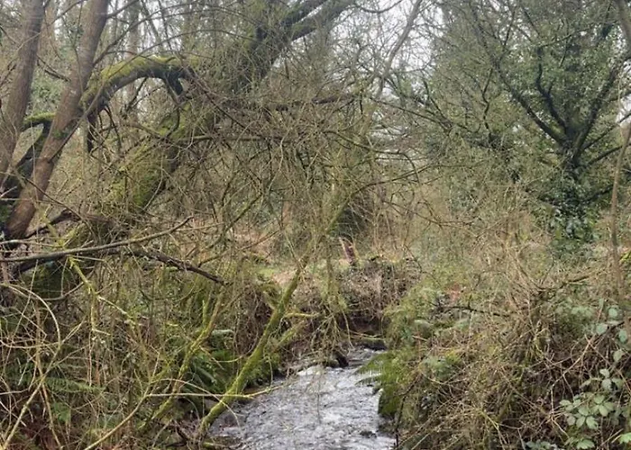 Mountain View Σαλέ *