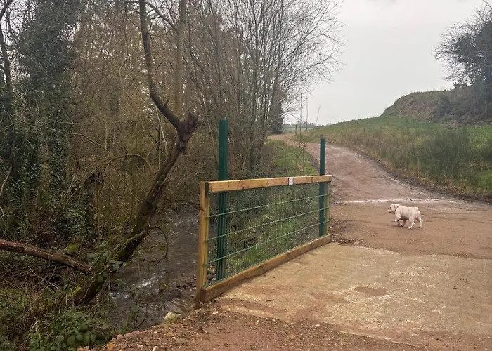 Mountain View Σαλέ Tipperary